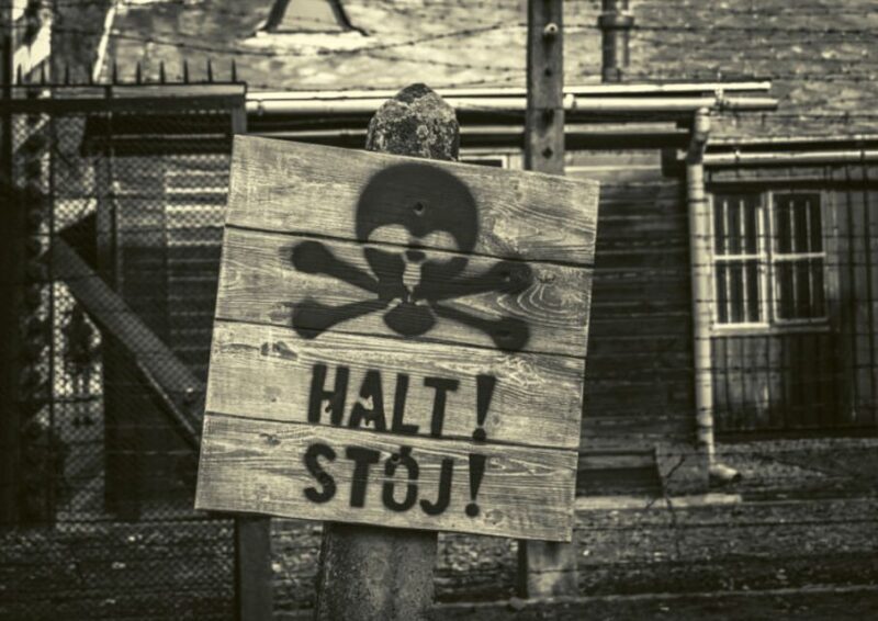 Krakow and Auschwitz Small-Group Tour from Warsaw with Lunch - Who Will Love This Tour