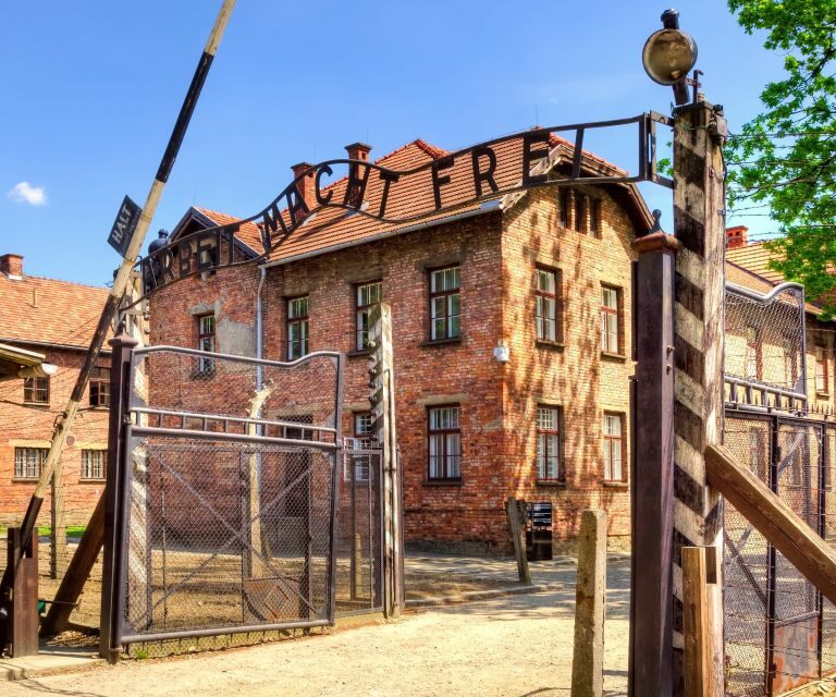 Krakow: Auschwitz-Birkenau and Wieliczka Salt Mine Day Trip - Who Should Consider This Tour?