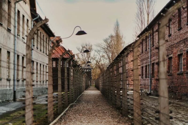 Krakow: Auschwitz-Birkenau Entry Ticket & Guided Tour - Key Points