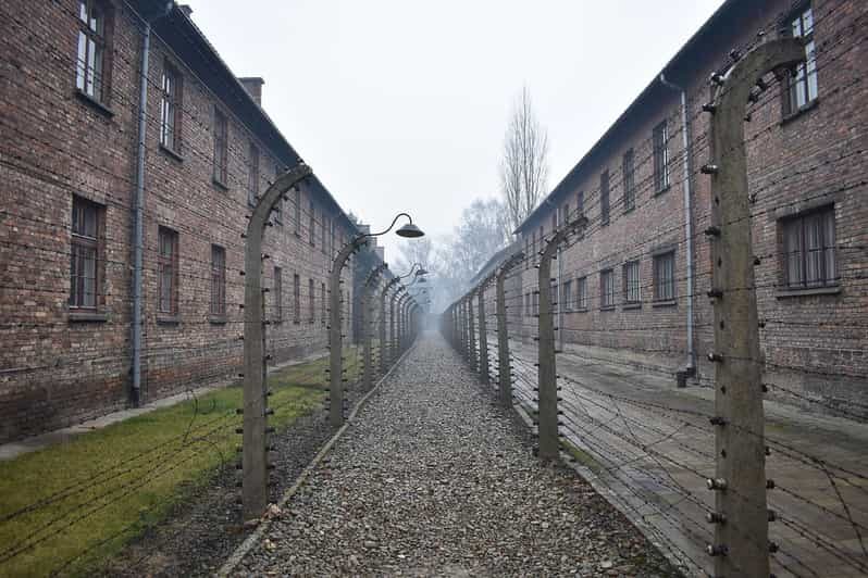 Krakow: Auschwitz-Birkenau Guided Tour or Self-Guided Tour - An In-Depth Look at the Auschwitz-Birkenau Tour