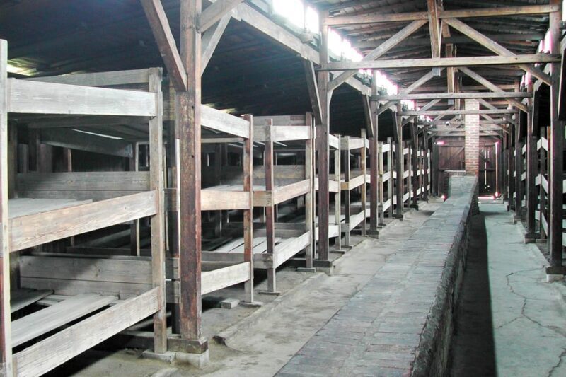Krakow: Auschwitz-Birkenau Guided Tour or Self-Guided Tour - Who Should Consider This Tour?