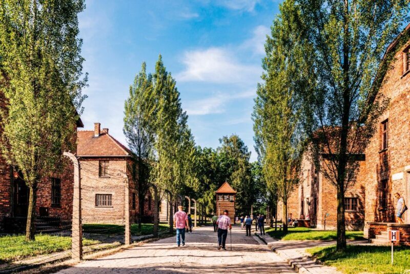 Krakow: Auschwitz-Birkenau Live Guided Tour & Hotel Pickup - Transportation & Comfort