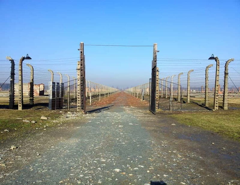 Krakow: Auschwitz-Birkenau Memorial Tour with Optional Lunch - Final Thoughts: Who Will Love This Tour?