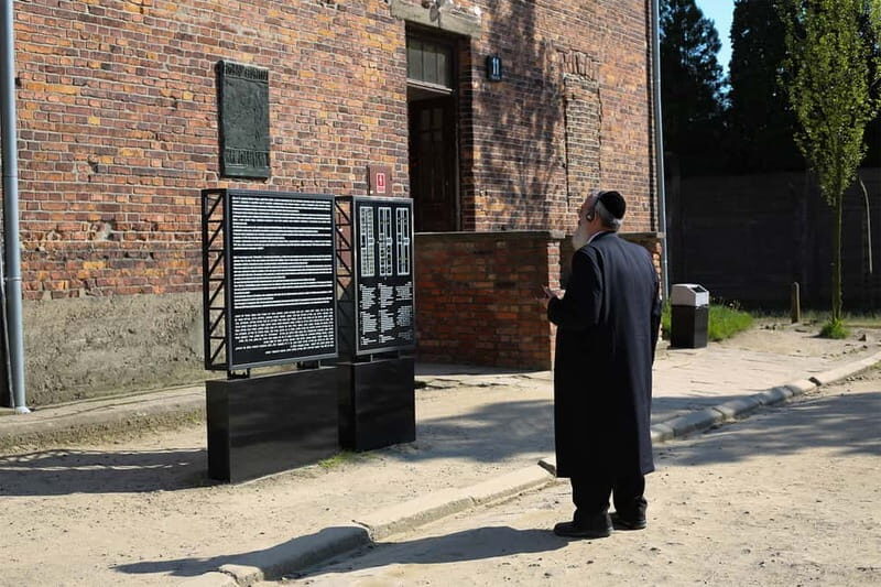 Krakow: Auschwitz-Birkenau Private Guided Tour - Key Points