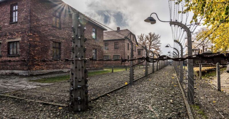 Kraków: Auschwitz-Birkenau & Salt Mine Full-Day Guided Tour - What You Can Expect from the Tour