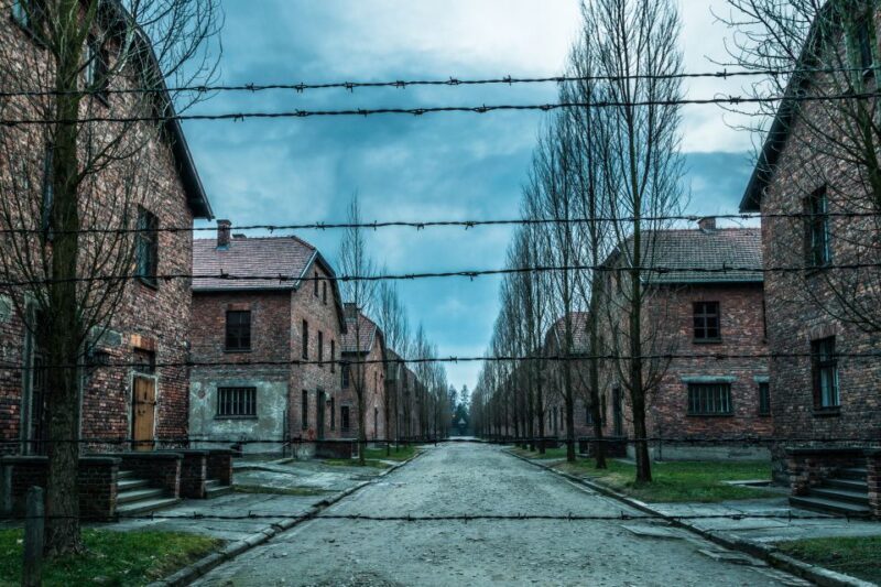 Kraków: Auschwitz-Birkenau & Salt Mine Full-Day Guided Tour - The Sum Up