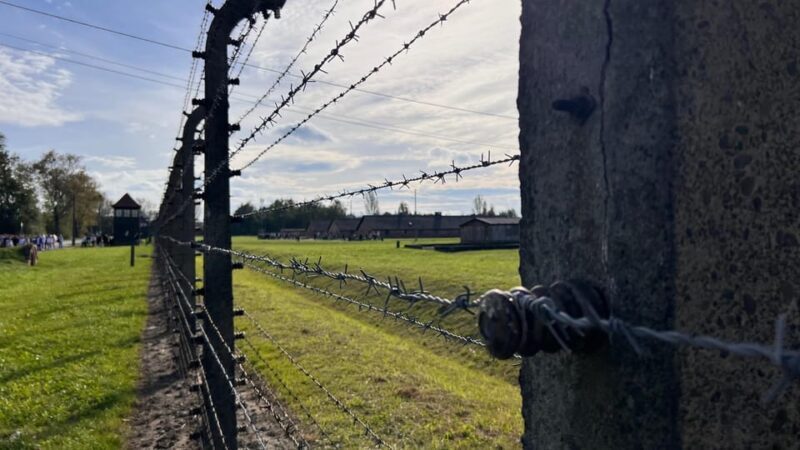 Krakow: Auschwitz-Birkenau & Wieliczka Salt Mine with Lunch - Authentic Experiences From Reviews