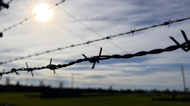 Krakow: Auschwitz-Birkenau & Wieliczka Salt Mine with Lunch - The Sum Up