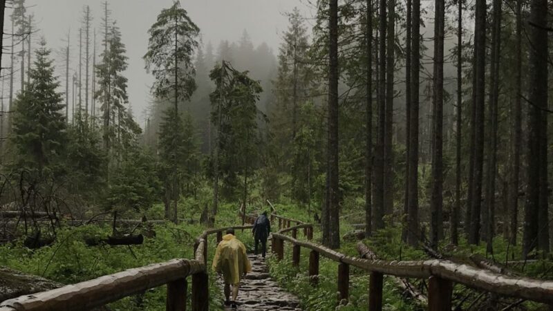 Krakow: Hiking Adventure in Tatra Mountains & Thermal Baths - Who Is This Tour Best For?