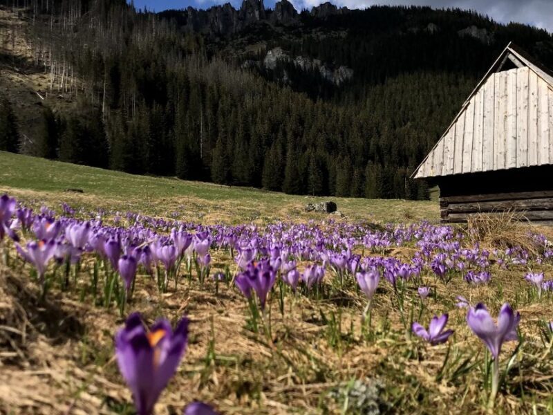 Krakow: Hiking Adventure in Tatra Mountains & Thermal Baths - Final Thoughts