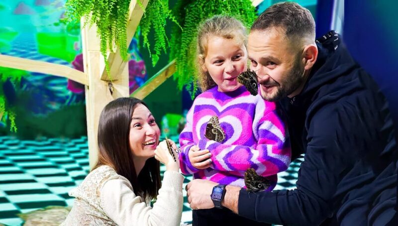 Krakow: Living Butterflies Museum ''House Of Attractions'' - Key Points