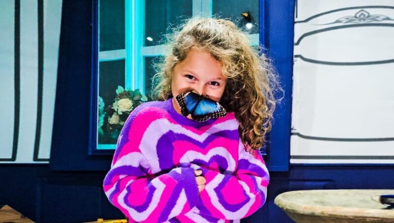 Krakow: Living Butterflies Museum ''House Of Attractions'' - Final Thoughts