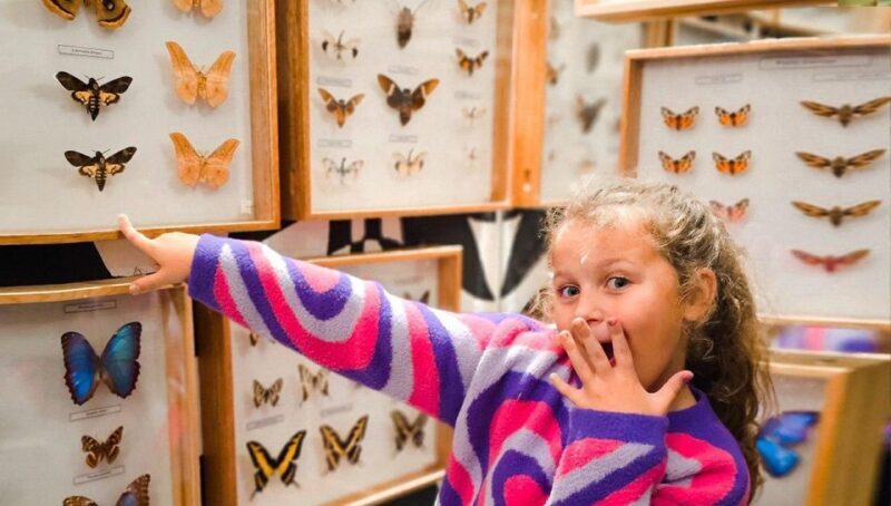 Krakow: Living Butterflies Museum ''House Of Attractions'' - FAQ