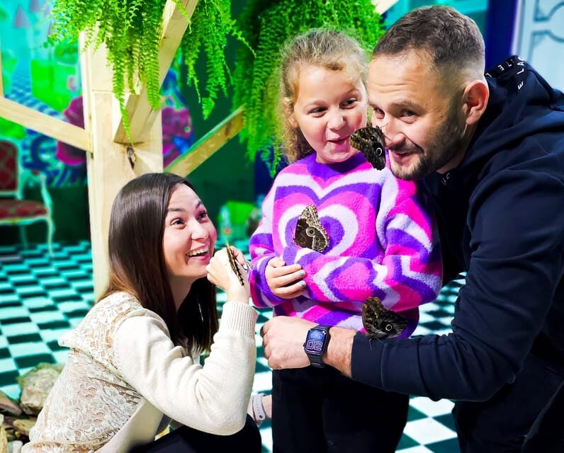 Krakow: Museum of Living Butterflies 2+2 - A Closer Look at the Museum of Living Butterflies Experience