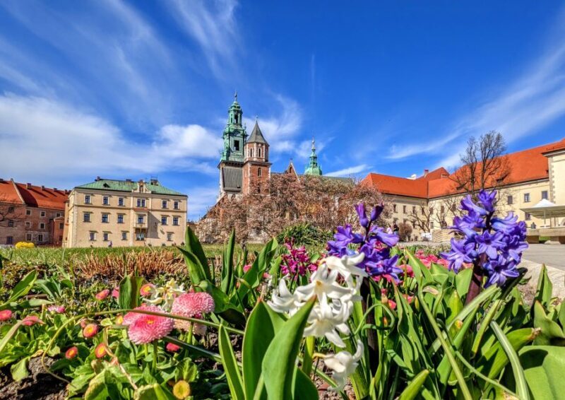 Kraków: Old Town & Wawel Castle Walking Tour - What to Expect and Tips