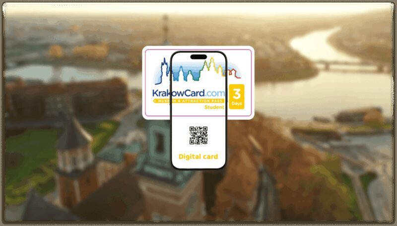 Krakow: Polish Aviation Museum Entry Ticket - Who Should Consider Visiting?