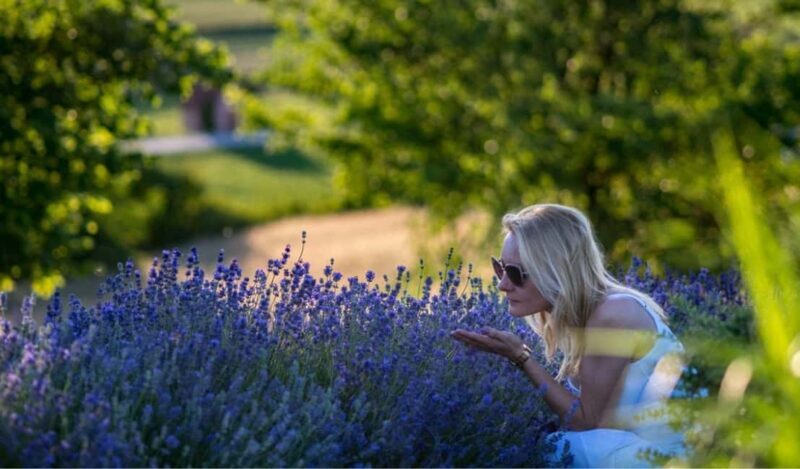 Kraków: Private Lavender Fields & Vineyard Tasting Tour - Practical Details and Value