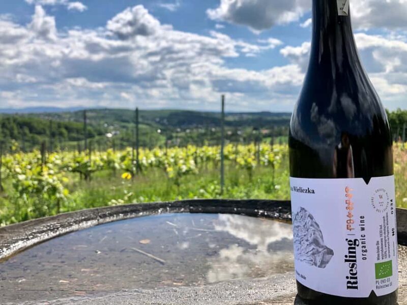 Kraków: Private Lavender Fields & Vineyard Tasting Tour - Authentic Experiences and Personal Touches