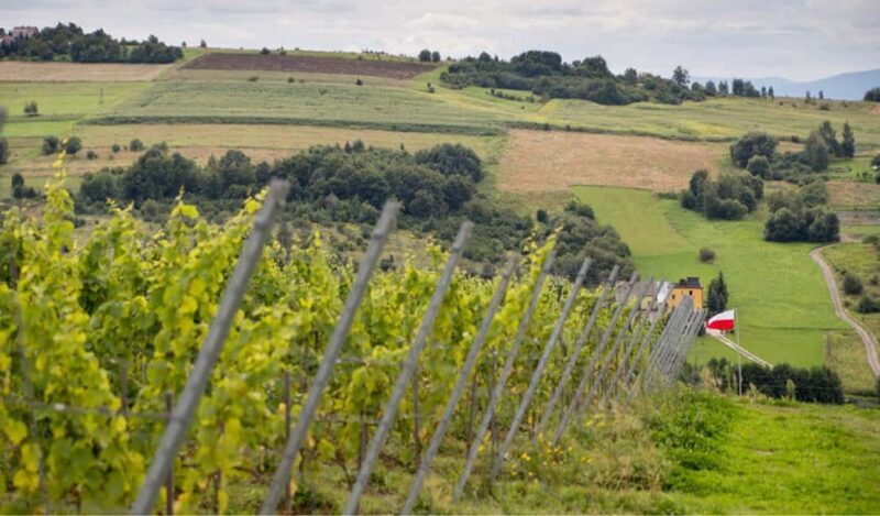 Kraków: Private Lavender Fields & Vineyard Tasting Tour - Things to Keep in Mind