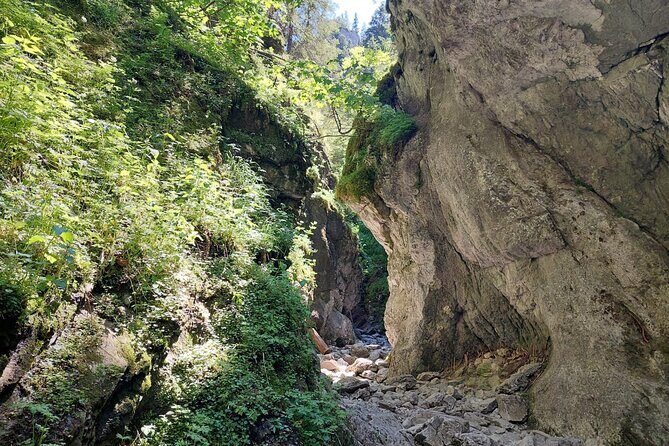 Krakow : Private tour hiking in Tatra Mountains and Termal baths - Who Will Love This Tour?