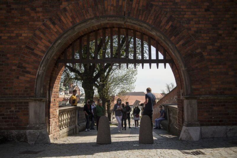 Krakow: Wawel Castle Guided Walking Tour - A Deep Dive into the Wawel Castle Guided Tour Experience