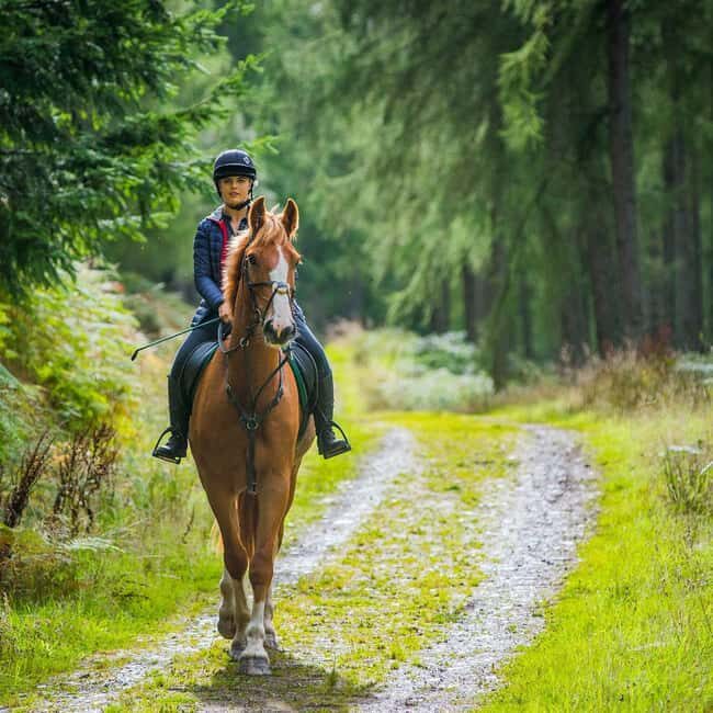 Krakow: Zakopane Horseback Ride & Cheese Tasting & Cable Car - In-Depth: What Makes This Tour Valuable?