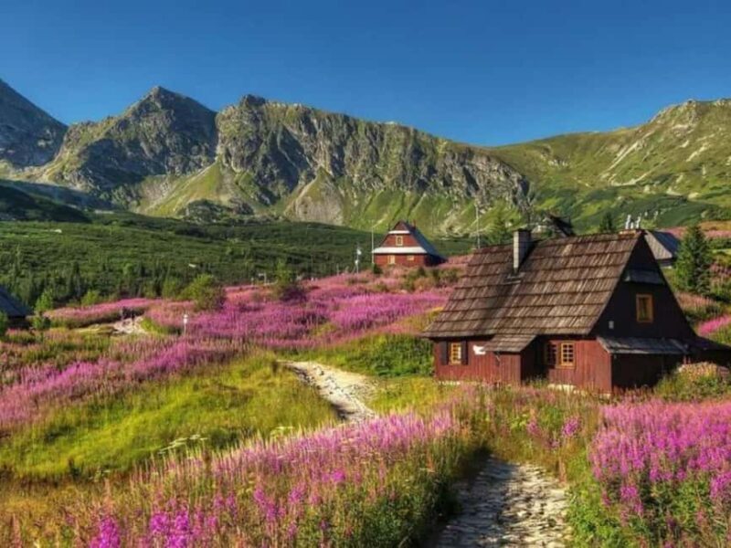 Krakow: Zakopane, Morskie Oko, and Cheese Tasting Tour - The Sum Up