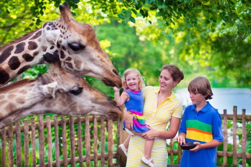 Krakow: Zoo Tour with Private Transport and Tickets - An In-Depth Look at the Krakow Zoo Tour