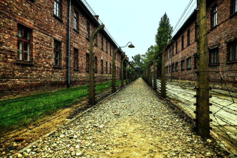 Krakow:Guided Auschwitz-Birkenau Tour - Transport by Minivan - Key Points