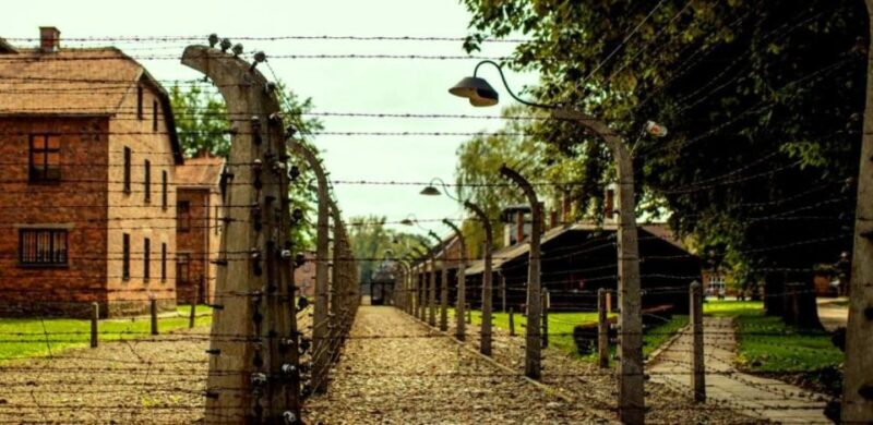 Krakow:Guided Auschwitz-Birkenau Tour - Transport by Minivan - An in-Depth Look at the Auschwitz-Birkenau Guided Tour