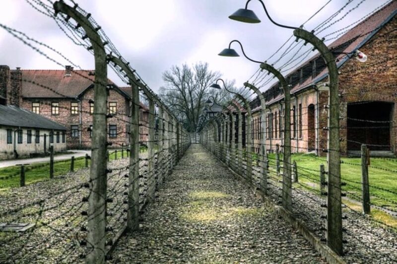 Krakow:Guided Auschwitz-Birkenau Tour - Transport by Minivan - Who Should Consider This Tour?