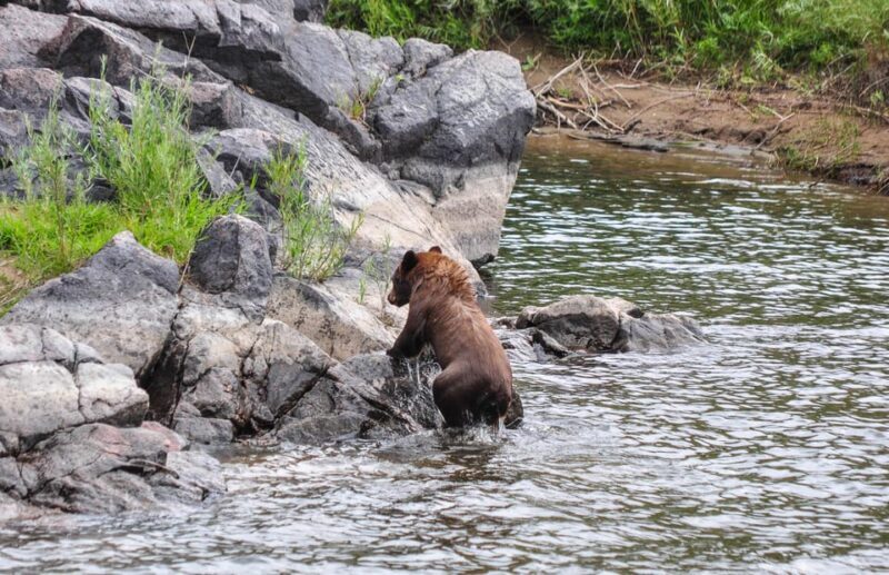Kremmling: Upper Colorado Half-Day Guided Float - Practical Details & Tips