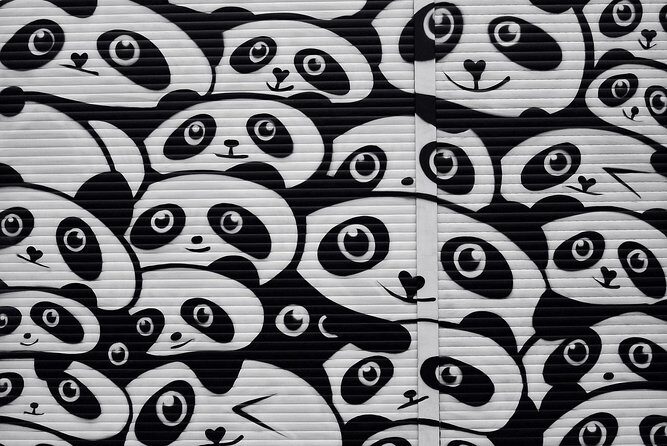 Kreuzberg Private Walking Tour: Immigrants, Artists & Hipsters - Final Thoughts