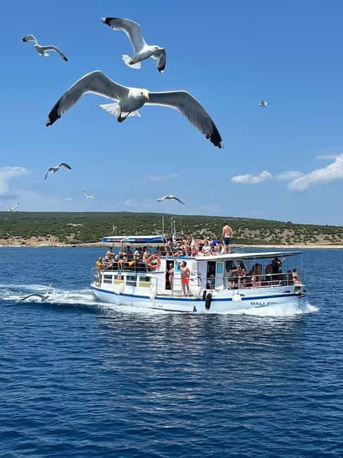 Krk: Golden Bay, Blue Cave, & 4 Islands Cruise - Key Points