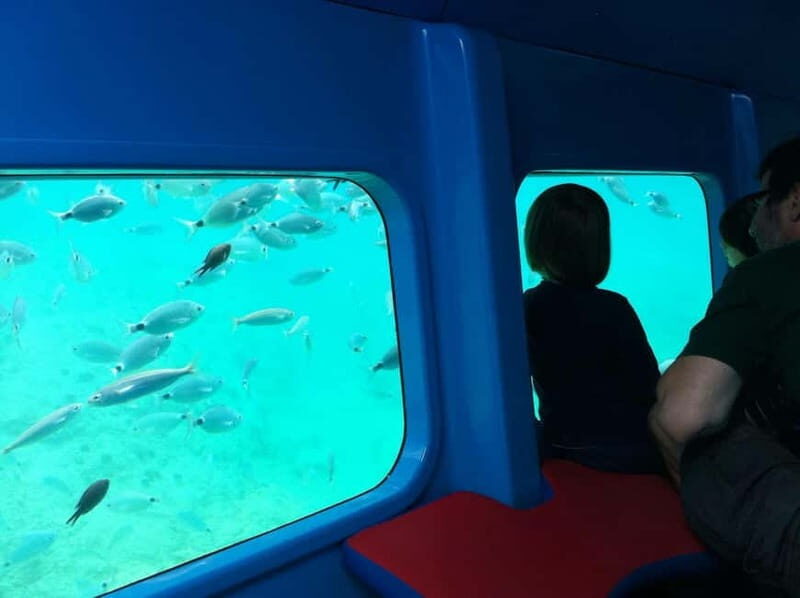 Krk: Underwater Semi-Submarine Adventure - What to Expect on the Semi-Submarine Tour in Krk