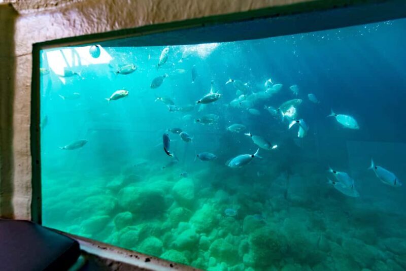 Krk: Yellow Semi-Submarine Tour - Key Points