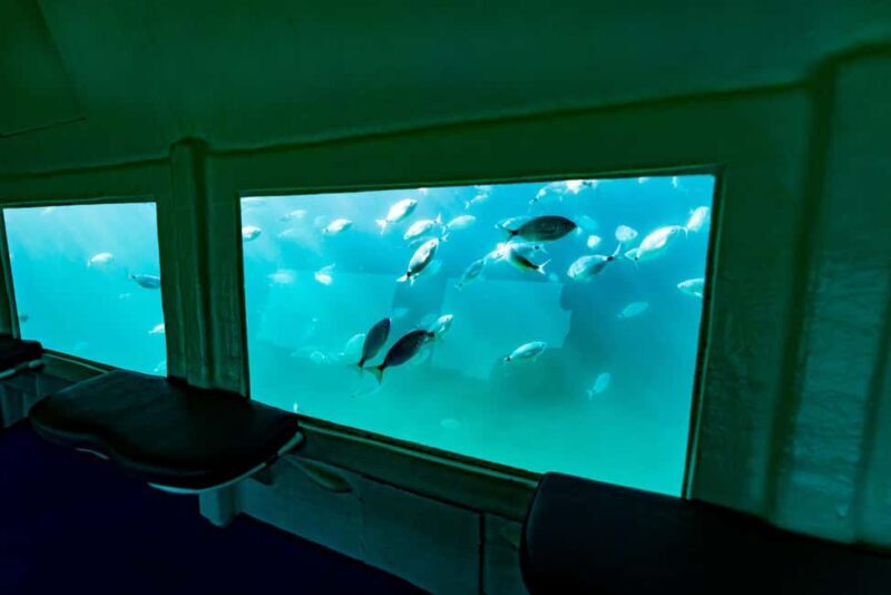 Krk: Yellow Semi-Submarine Tour - Who Should Consider This Tour?