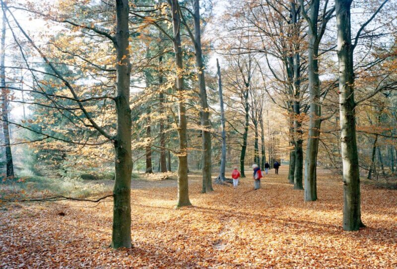Kröller-Müller Museum Entrance Ticket - An In-Depth Look at the Kröller-Müller Museum Experience