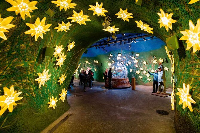 (KTL364) - Small group tour Jungfrau and Interlaken from Lausanne - A Deep Dive into the Experience