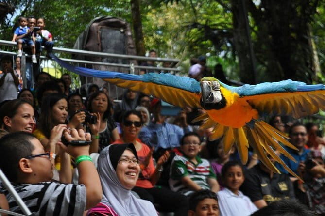 Kuala Lumpur Bird Park Admission with Famous Shopping Spots Tour - Key Points