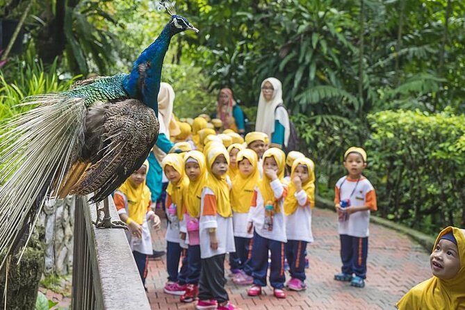 Kuala Lumpur Bird park & Butterfly Farm Tour Include Tickets - What Do Reviews Tell Us?