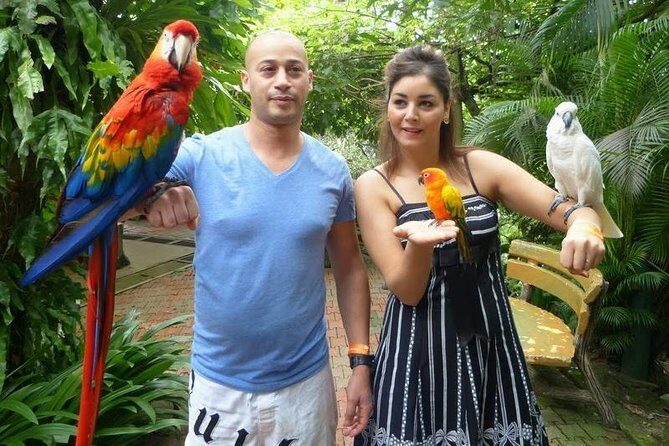 Kuala Lumpur Bird park & Butterfly Farm Tour Include Tickets - Why This Tour Works