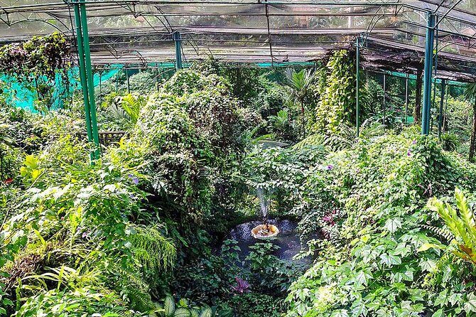Kuala Lumpur Bird park & Butterfly Farm Tour Include Tickets - Concise The Sum Up