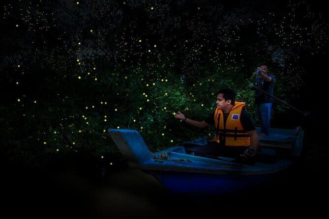 Kuala Lumpur - Fireflies Tour Including Riverside Dinner - An In-Depth Look at the Kuala Selangor Fireflies Tour