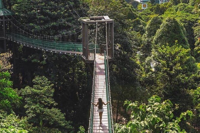 Kuala Lumpur Historical Chinatown Tour (Private Half Day) - Authentic Experiences and Highlights from Reviews