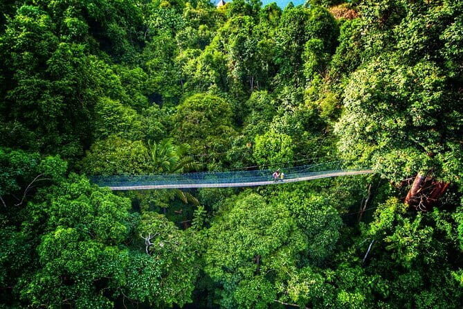 Kuala Lumpur Hotels to Singapore Hotels 1-way Transfer - Who this transfer suits best