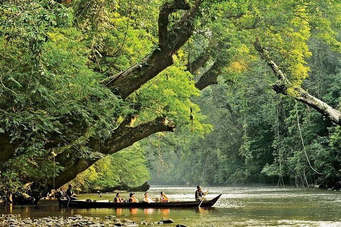 Kuala Lumpur to Taman Negara Shuttle - Key Points