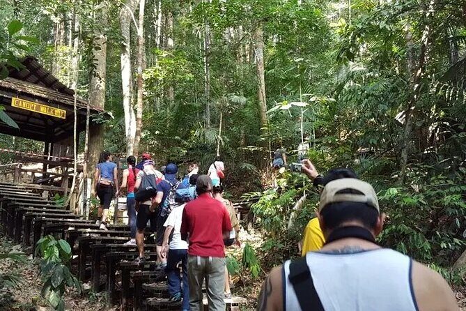 Kuala Lumpur to Taman Negara Shuttle - An In-Depth Look at the Kuala Lumpur to Taman Negara Shuttle