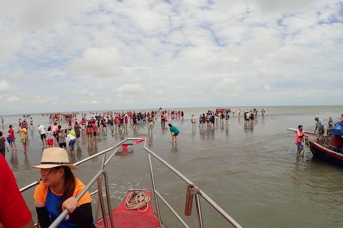 Kuala Selangor Famous Sky Mirror(with transfers) - Practical Tips for a Smooth Experience
