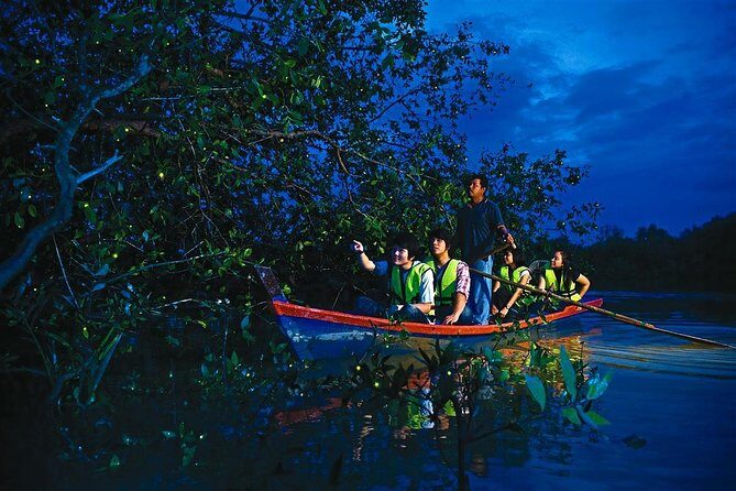 Kuala Selangor Fireflies & Nature Escape  From Kuala Lumpur - Who Should Consider This Tour?